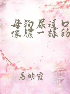 母狗尿道口流出像脓一样的液体怎么办