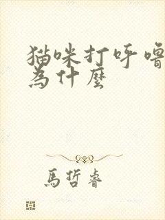 猫咪打呼噜是因为什么