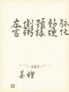 左侧颈动脉分叉处粥样硬化斑块形成