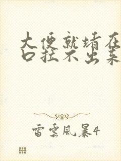 大便就堵在肛门口拉不出来怎么办