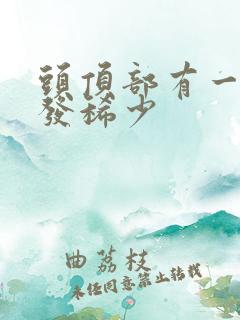 头顶部有一块头发稀少