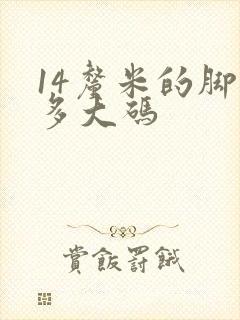 14厘米的脚穿多大码