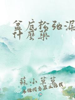 盆底松弛漏尿吃什么药