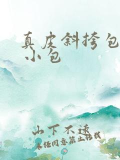 真皮斜挎包 女 小包