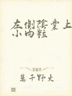 左侧阴囊上有个小肉粒