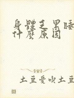 身体乏累睡不醒什么原因