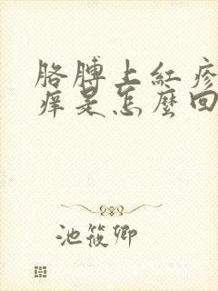 胳膊上红疹子发痒是怎么回事