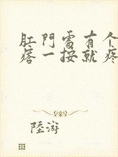 肛门处有个硬疙瘩一按就疼怎么治