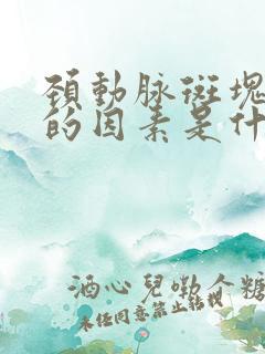 颈动脉斑块形成的因素是什么