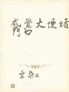 感觉大便堵在肛门口