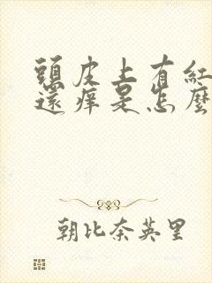 头皮上有红疙瘩还痒是怎么回事