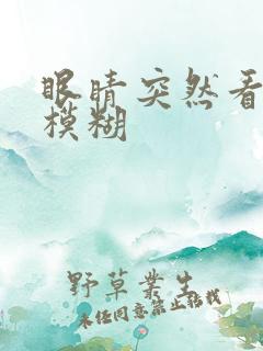 眼睛突然看不清模糊