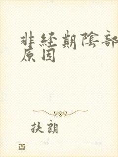 非经期阴部流血原因