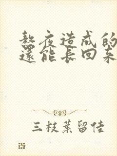 熬夜造成的脱发还能长回来吗