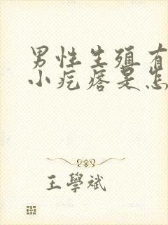 男性生殖有白色小疙瘩是怎么回事