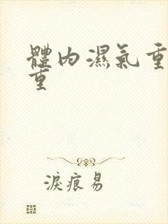 体内湿气重寒气重