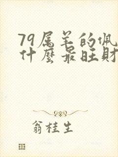 79属羊的佩戴什么最旺财