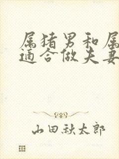 属猪男和属龙女适合做夫妻吗