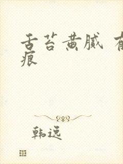 舌苔黄腻 有齿痕