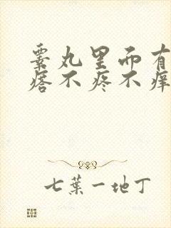 睾丸里面有硬疙瘩不疼不痒