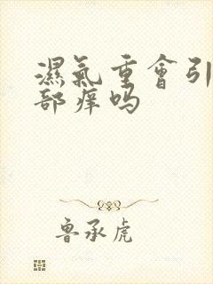 湿气重会引起阴部痒吗