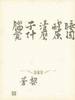 脑子清醒睡不着觉什么原因