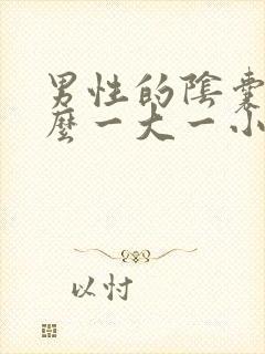 男性的阴囊为什么一大一小