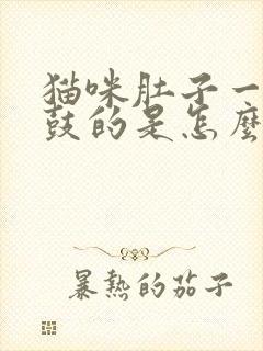 猫咪肚子一鼓一鼓的是怎么回事