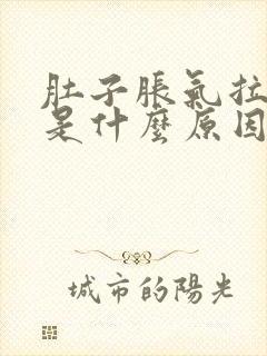 肚子胀气拉水便是什么原因