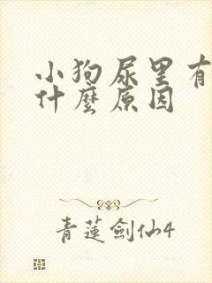 小狗尿里有血是什么原因