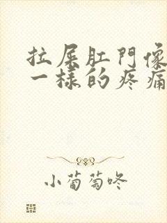 拉屎肛门像撕裂一样的疼痛感