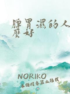 脾胃湿的人吃什么好