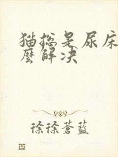 猫总是尿床上怎么解决