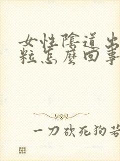 女性阴道出现颗粒怎么回事