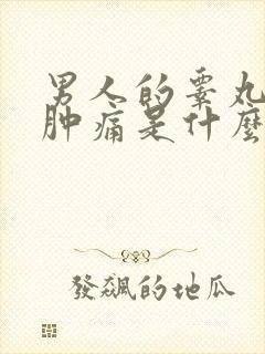 男人的睾丸突然肿痛是什么原因