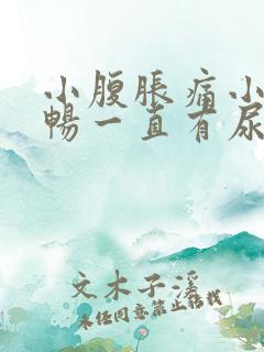 小腹胀痛小便不畅一直有尿感