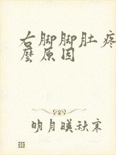 右脚脚肚疼是什么原因