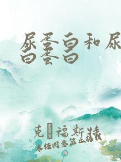 尿蛋白和尿微量白蛋白