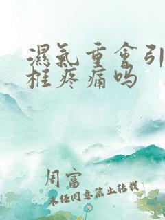 湿气重会引起颈椎疼痛吗