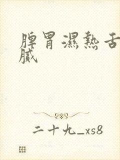 脾胃湿热舌苔黄腻