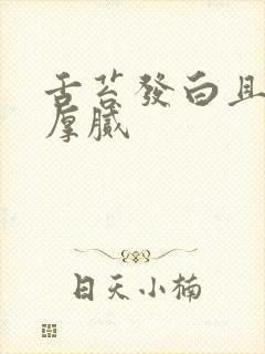 舌苔发白且发黄厚腻