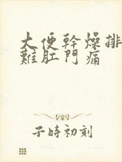 大便干燥排便困难肛门痛