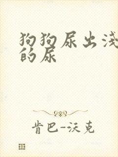 狗狗尿出浅红色的尿