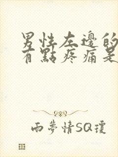 男性左边的睾丸有点疼痛是怎么回事