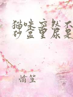 猫咪突然不在猫砂盆里尿是什么原因