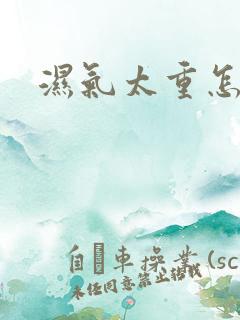 湿气太重怎么排