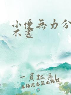 小便无力分叉尿不尽