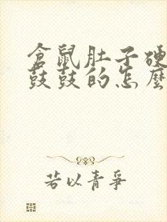 仓鼠肚子硬硬的鼓鼓的怎么办