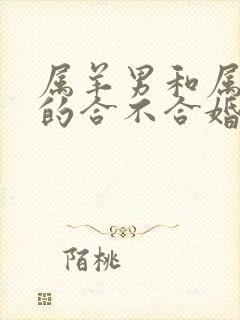 属羊男和属鼠女的合不合婚