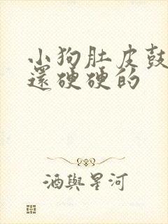 小狗肚皮鼓鼓的还硬硬的